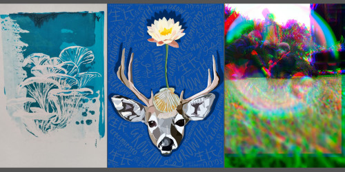 Collage of three winning entries