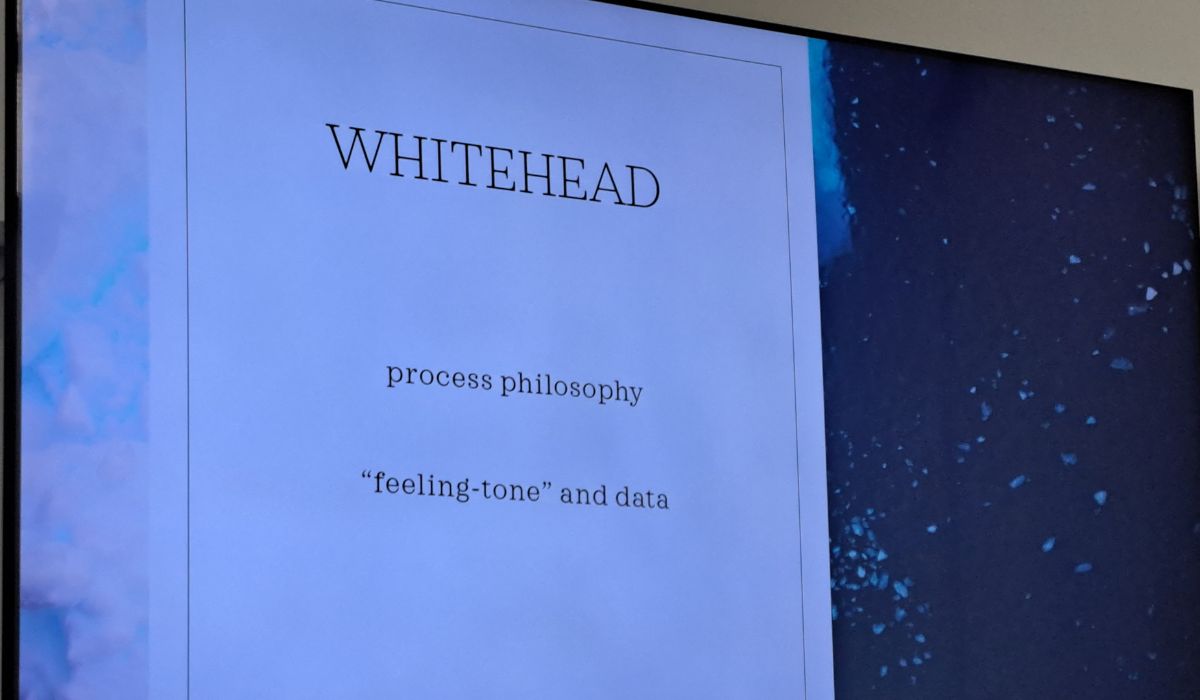 Slide from Franziscka's presentation with text on white background reading Whitehead: process philosophy, feeling tone and data