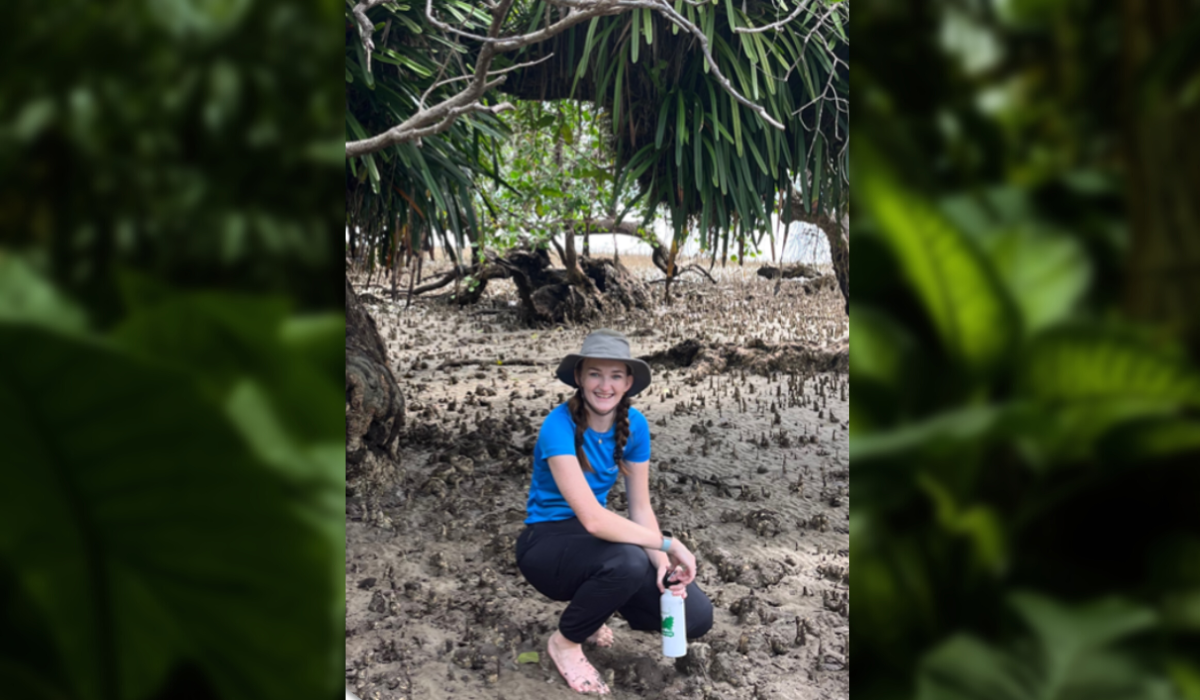 Visiting a Mangrove Forest in Borneo