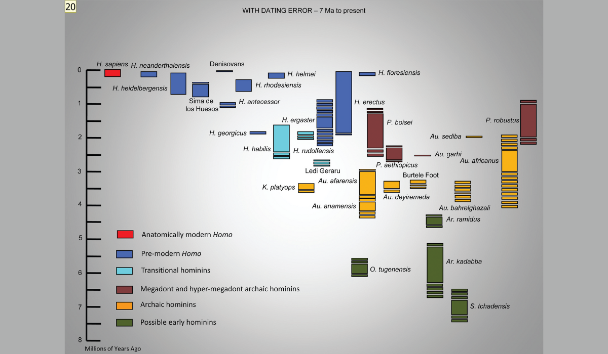 Human Evolution is a bush! 