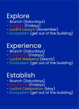 Lucy Enterprise Activity list - also in text