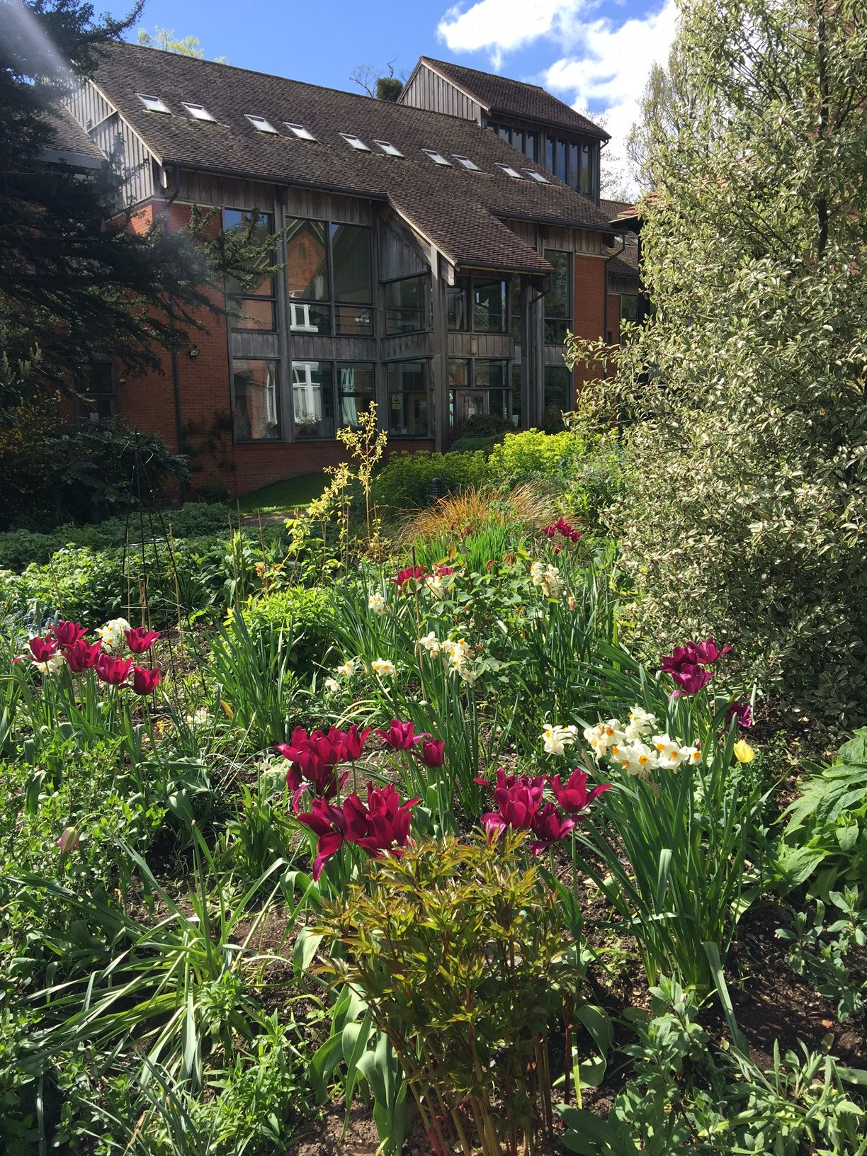 Lucy's library and garden