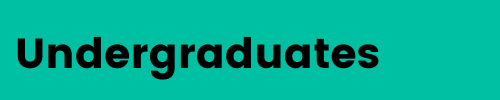 Undergraduate courses