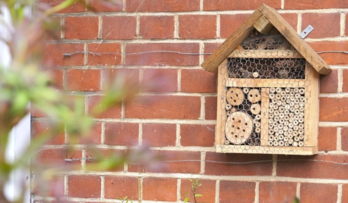 Bee hotel at Lucy Cavendish College