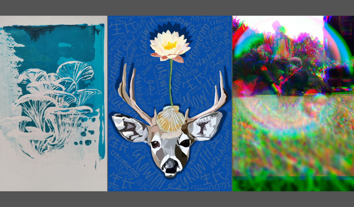 Collage of three winning entries