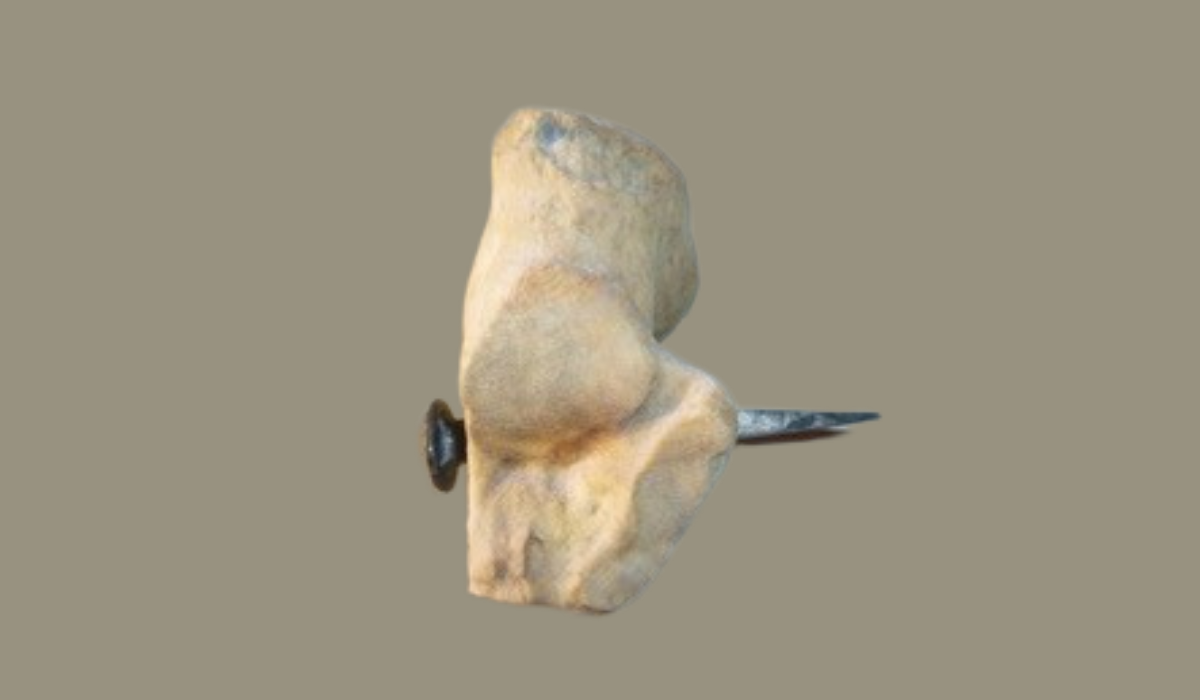 Bone with nail