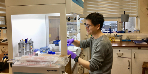 Dr Lin Su working in lab