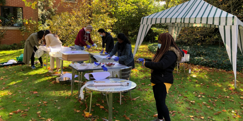 Students at the botanical workshop in the College gardens