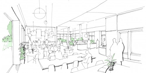 Cafe line drawing