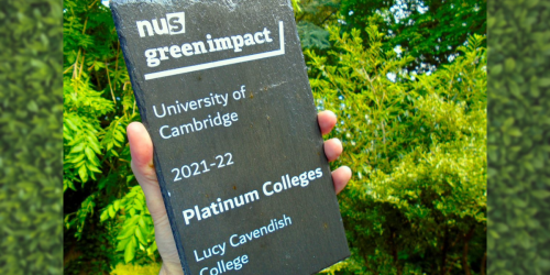 Green Imppact award plaque