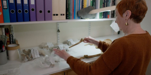 The image features Corinne working at a desk, organizing bones and archaeological finds, which are placed in clear plastic bags and labeled. These items could potentially be artifacts being studied or categorized. There's a shelf above the desk filled with binders, suggesting an organized and research-oriented environment, possibly an academic or scientific setting. 